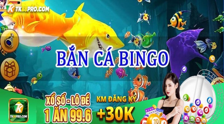 bắn cá bingo