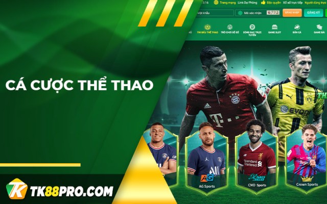 Cá cược thể thao tại nhà cái tỷ lệ ăn cao