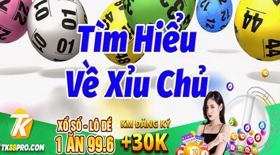 Xỉu Chủ là Gì - Dự Đoán Xỉu Chủ Miền Nam Chính Xác Nhất Xỉu chủ
